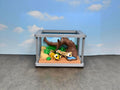 3D Printed Flexi Gecko Enclosure: Kids Toy Desk Buddy
